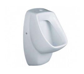 Чаши генуя, Писсуары