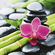 Шторка для ванной BRIMIX 180x200см БАМБУК с ЦВЕТКОМ