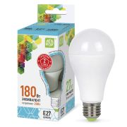 Лампа LED А60 20Вт Е27 4000К обычная IN HOME